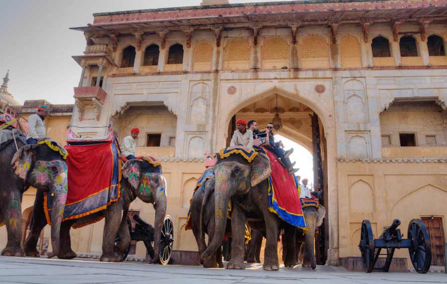 Elefante Safari Rajastán