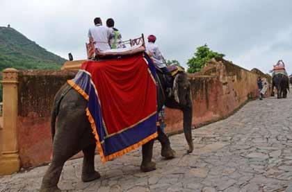 Elephant Ride in Jaipur