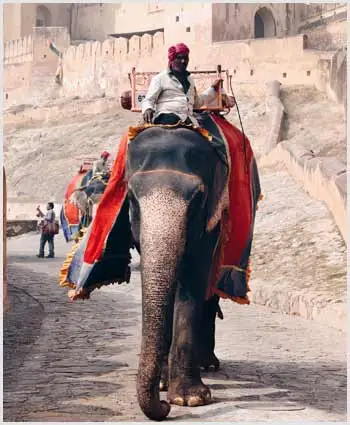 Rajasthan Budget Tours