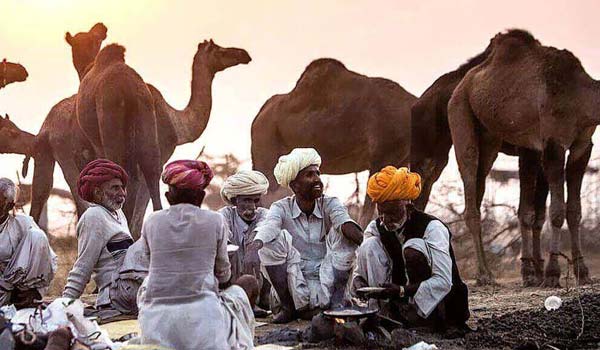 Jaipur, Pushkar, Jodhpur, Udaipur tour Package