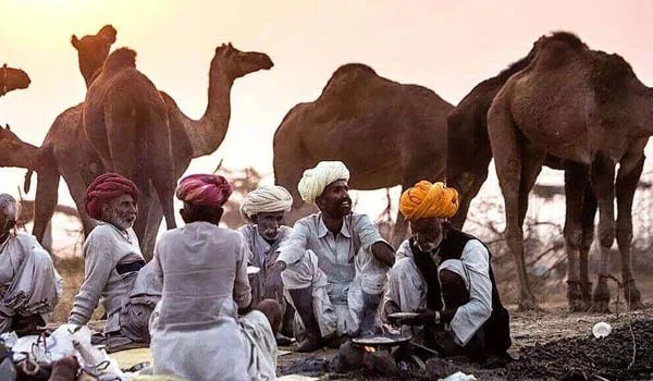 Jaipur, Pushkar, Jodhpur, Udaipur tour Package