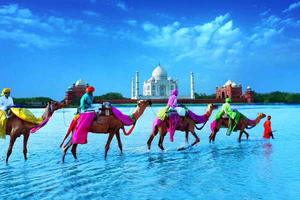 Golden Triangle Vacation Packages