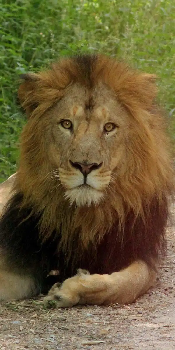 Gujarat Tour Planner