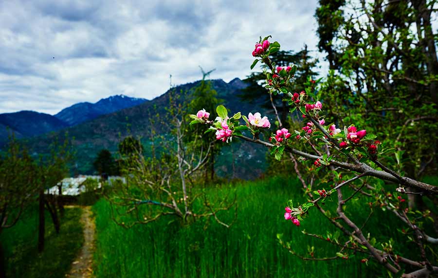 Great Himalayan National Park Conservation Area