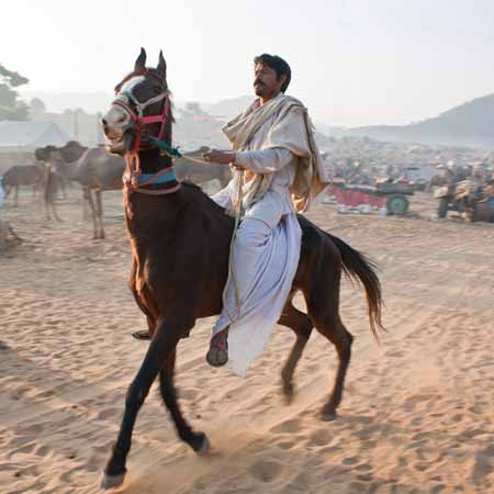 Horse Riding Pushkar