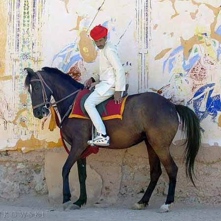 Horse Safari Mandawa