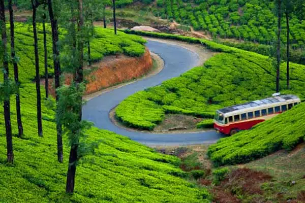 Car Rental Munnar
