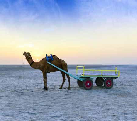 How to Reach Rann of Kutch
