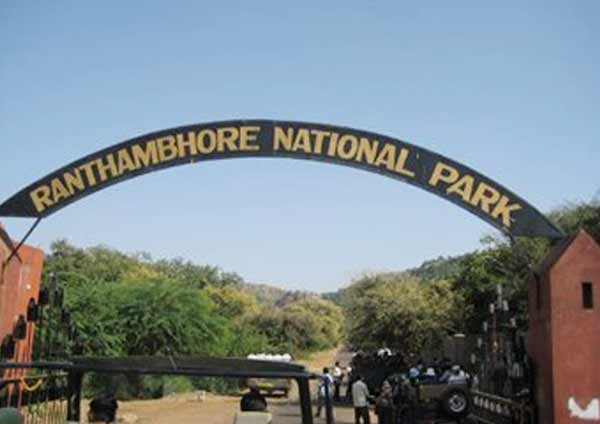 How To Reach Ranthambore National Park