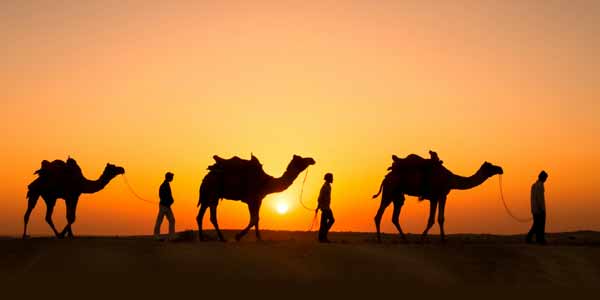 India Adventure Tours