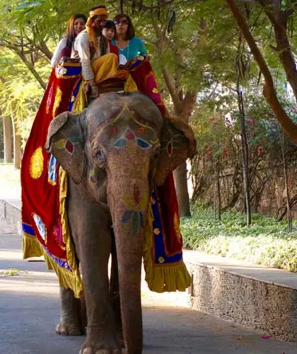 Viaggio India