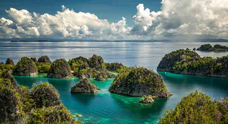 India Tour from Indonesia