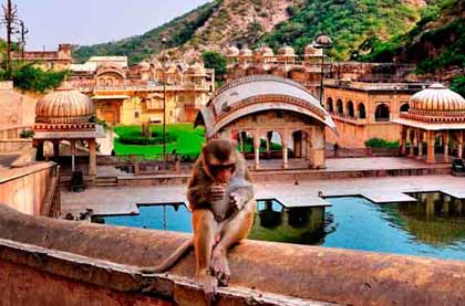 Jaipur Budget Tour Packages