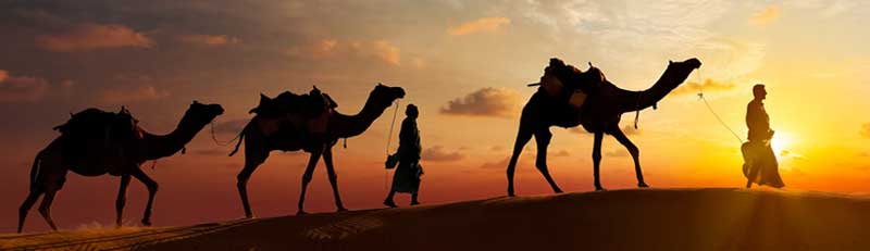Jaisalmer Tours
