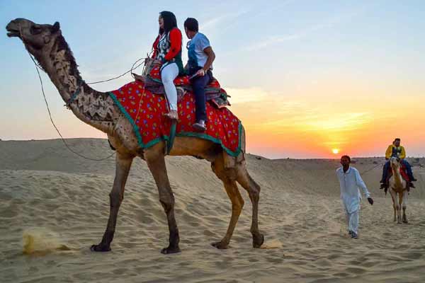 09 Days / 08 Nights Ranthambore Tour Package