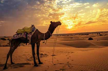 Rajasthan Vacations Tour