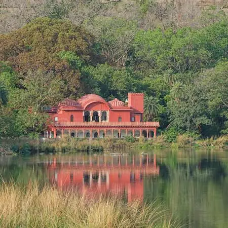 8 Nights Ranthambore Tour Package