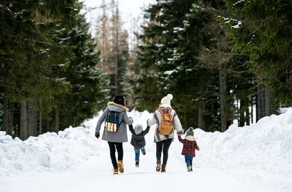 Kashmir Family Tour