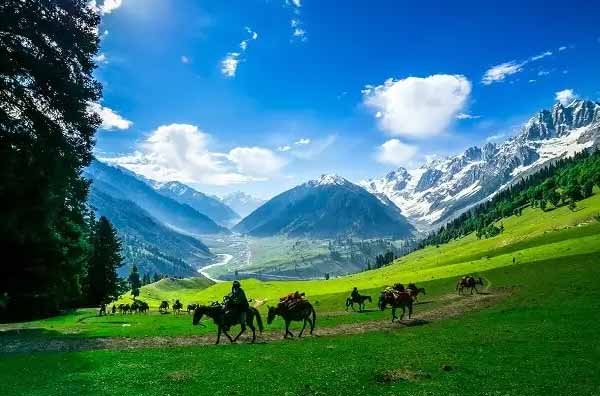 Kashmir Summer Tour Package