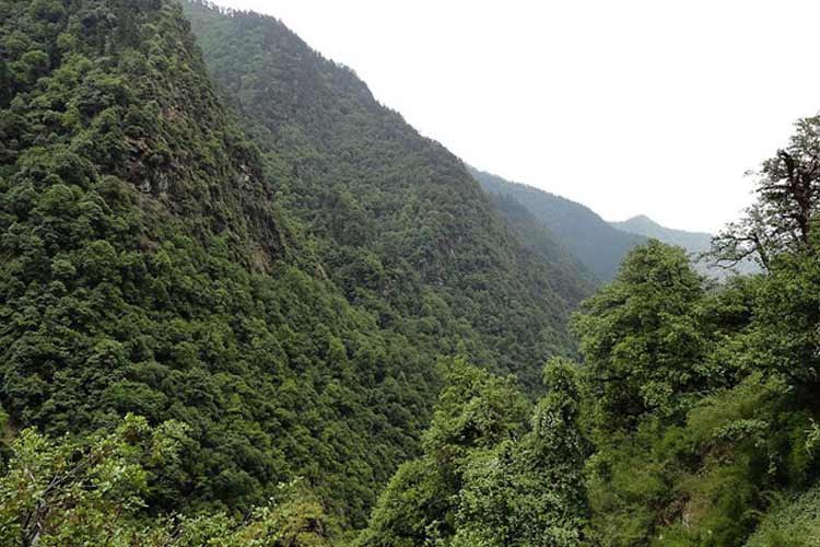 Badrinath Dham Yatra