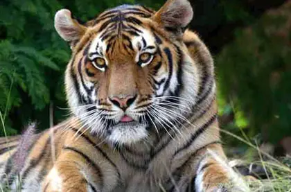 Keoladeo National Park