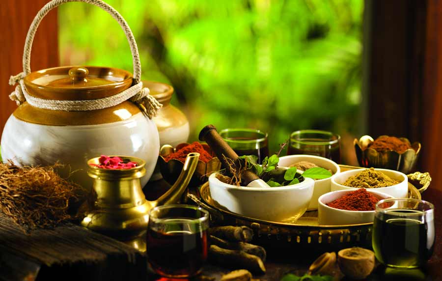 Kerala and Ayurveda Tour