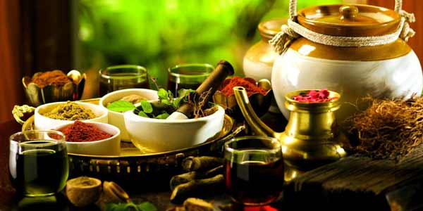 Kerala Ayurveda Tour