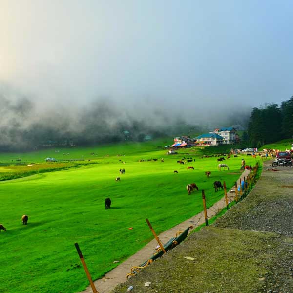 Kangra Tour Himachal Pradesh