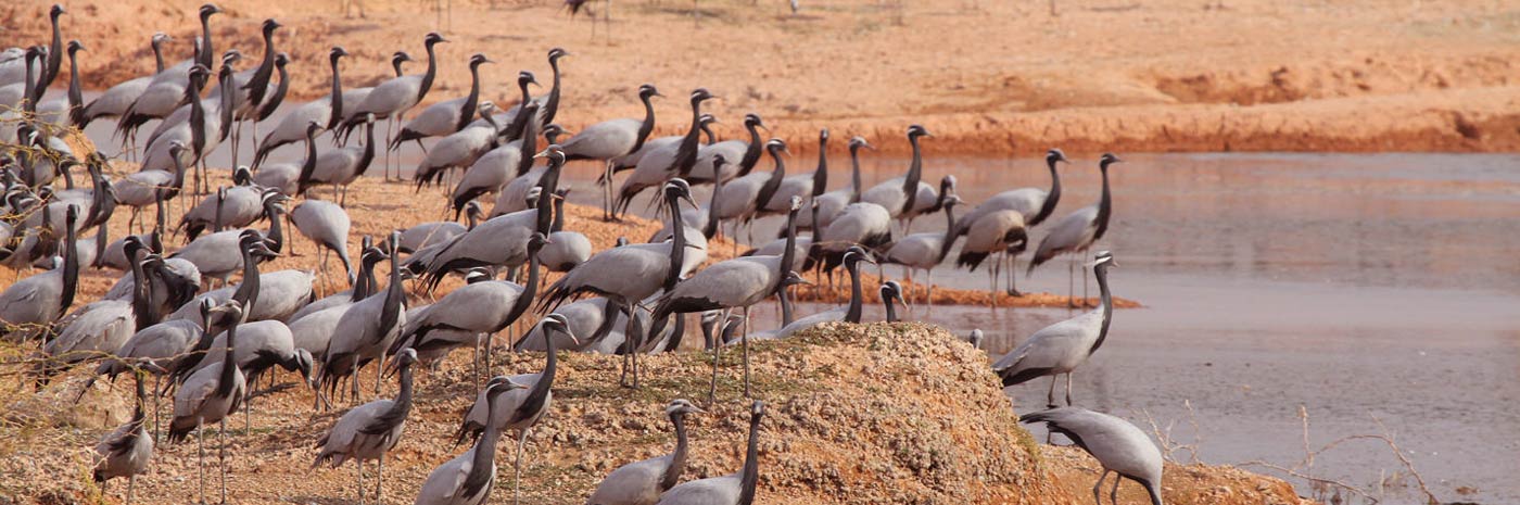 Tourist Places Rajasthan