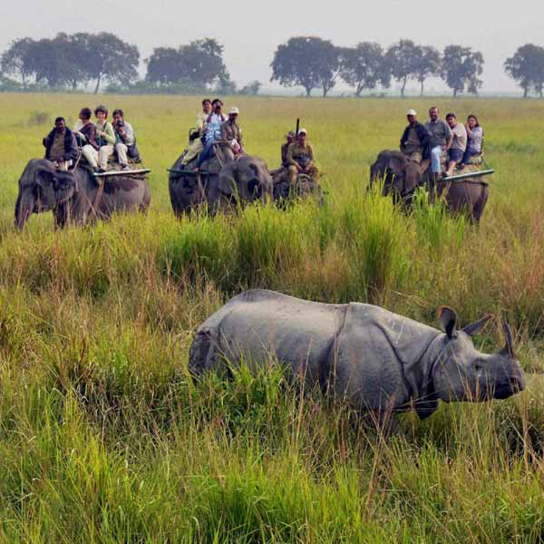 Kolkata With Kaziranga Tour