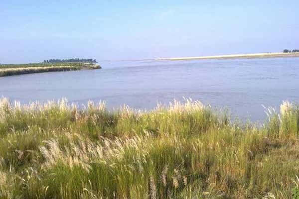 Koshi Tappu Wildlife Reserve