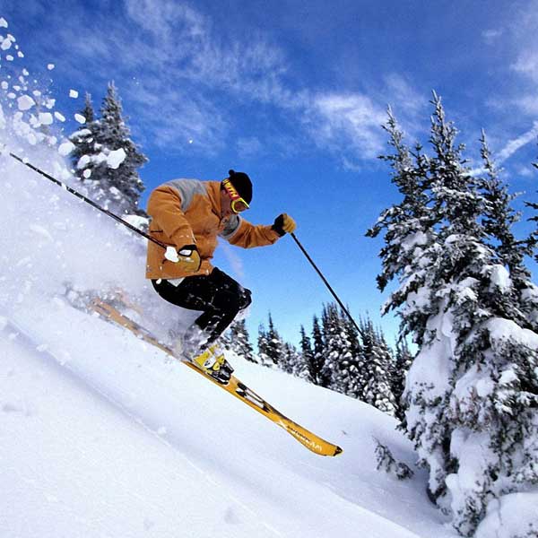 Full Himachal Itinerary 11 Days