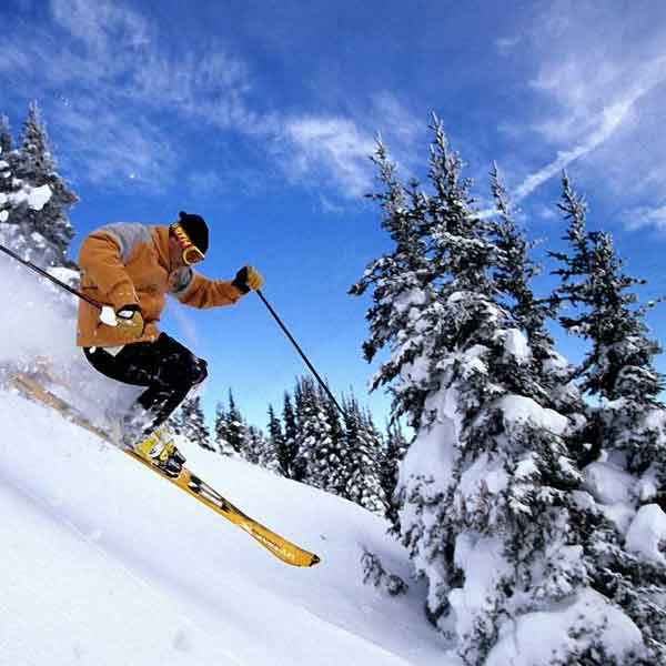 Forfait Shimla Calling