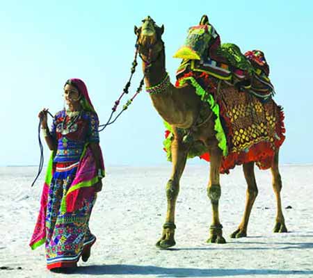 Kutch Adventure Packages