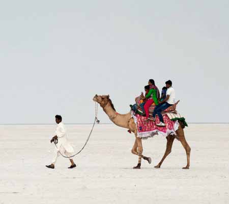 Kutch Family Packages