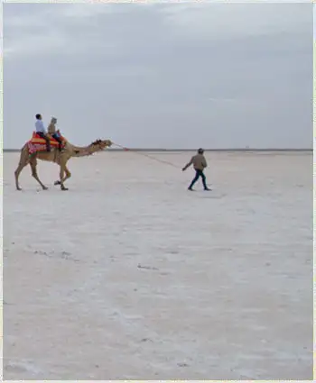 Kutch Rann Utsav