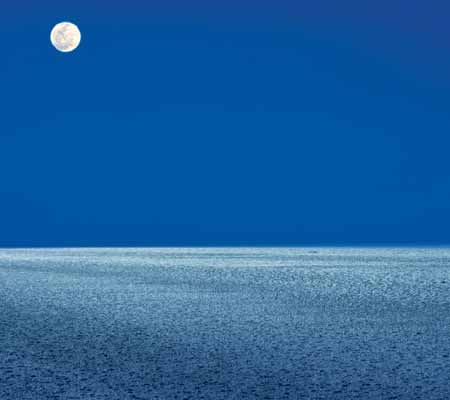 Kutch Diwali Packages