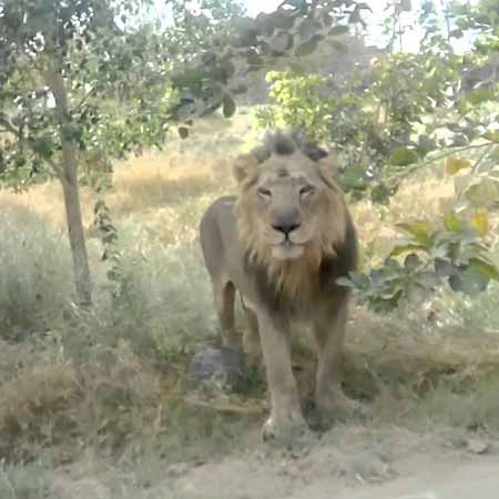 Machia Biological Park