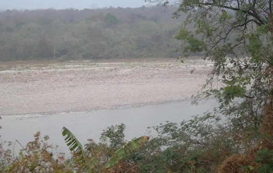 Manas Wildlife Sanctuary