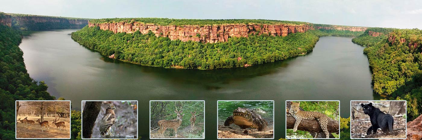 Tourist Places Rajasthan