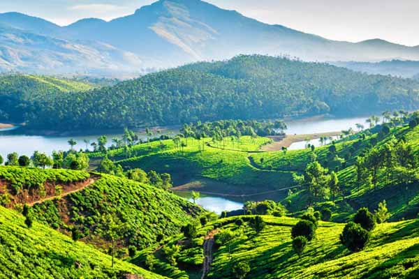Munnar Tourist Attractions