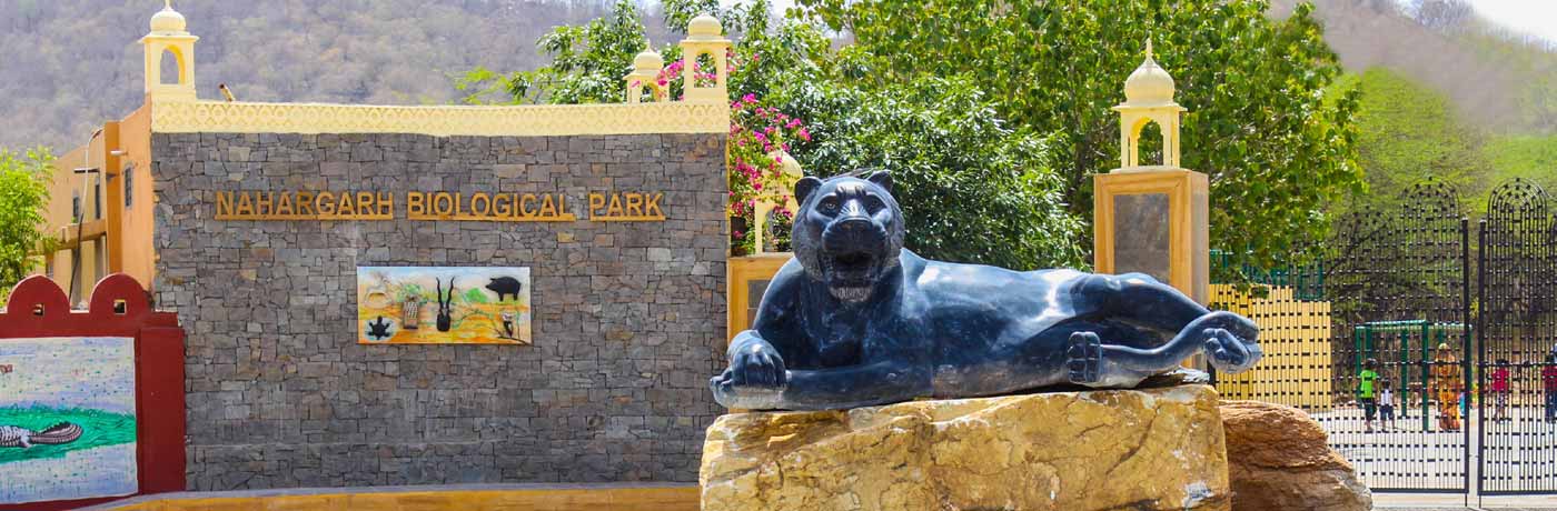 Rajasthan Special Interest