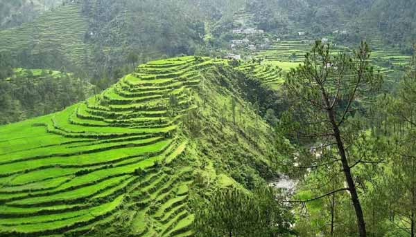 Nature & Eco Uttarakhand