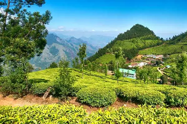North east india hill station Tour Package