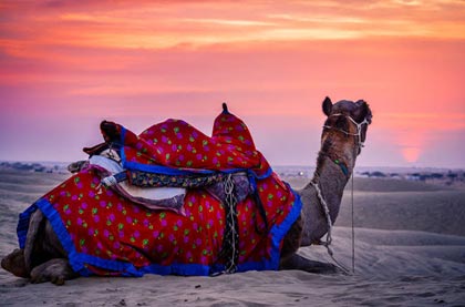 One Night 2 Days Jaisalmer Tour Package