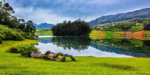 Ooty