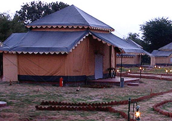 Orchard Camps Resort