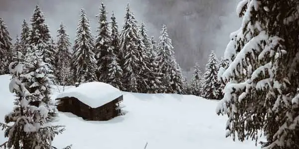 Patnitop