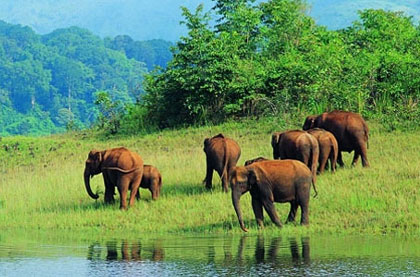 Tips Voor Reizen Door India