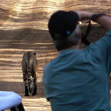Photography in Ranthambore